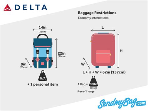 delta airlines checked baggage.